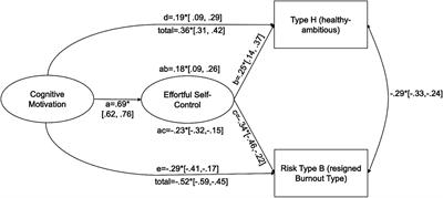 The role of cognitive motivation and self-regulation in coping with occupational demands